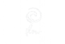 flow white logo transparent big